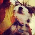 5 Things I’m Happy About Right Now – Spoiler: This post is NOT about Robin Williams
