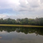 Marathon Training Journal – WEEK THREE!