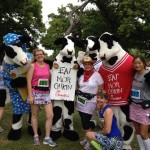 Irving Half Marathon Training Update!