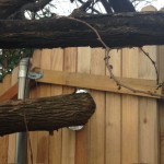 On Resilience And Making a Fence with A Hole In It