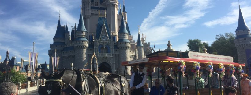 5 Most Underrated Experiences at Walt Disney World