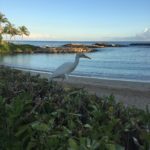 How and When To See a Licensed Counselor