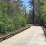 Star Wars Half Training Update! Final Long Run Complete!