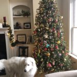 Holiday House Tour!