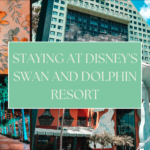 Staying At A Disney World Resort