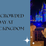 An Uncrowded Day at Magic Kingdom