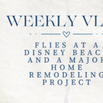 Weekly Vlog: Flies at a Disney Beach and a Major Home Project!