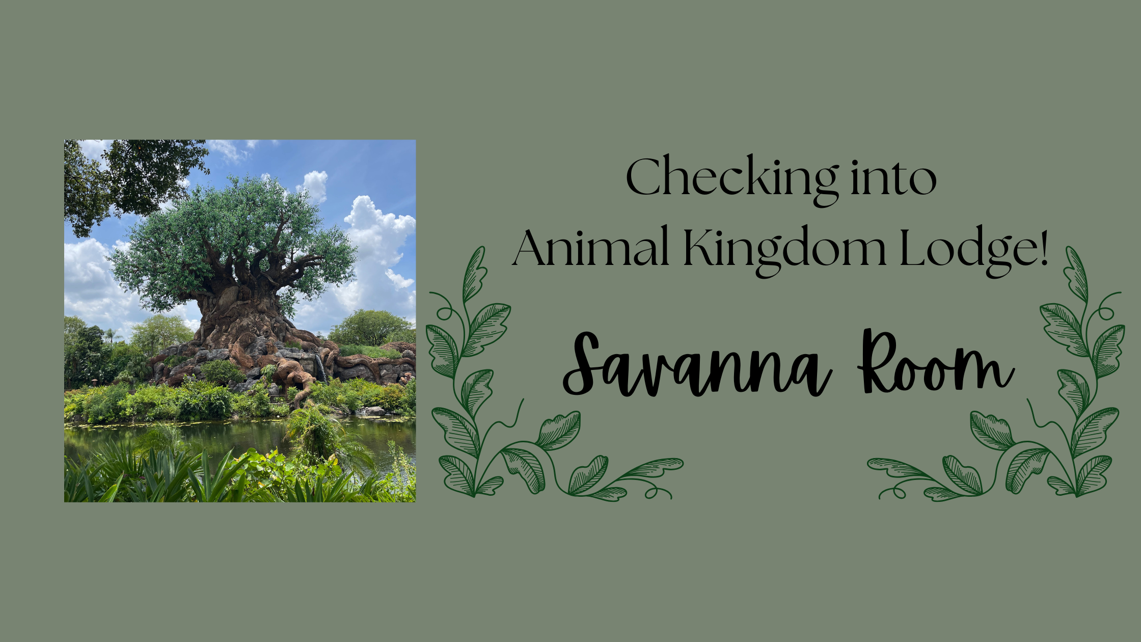 Checking into Animal Kingdom Lodge! Savanna Room