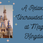 A Relaxing Uncrowded Day at Magic Kingdom