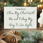 Clean My Closet With Me and Taking My Dog To See Lights