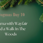 Vlogmas Day 10: Drama with Wayfair and a Walk In The Woods