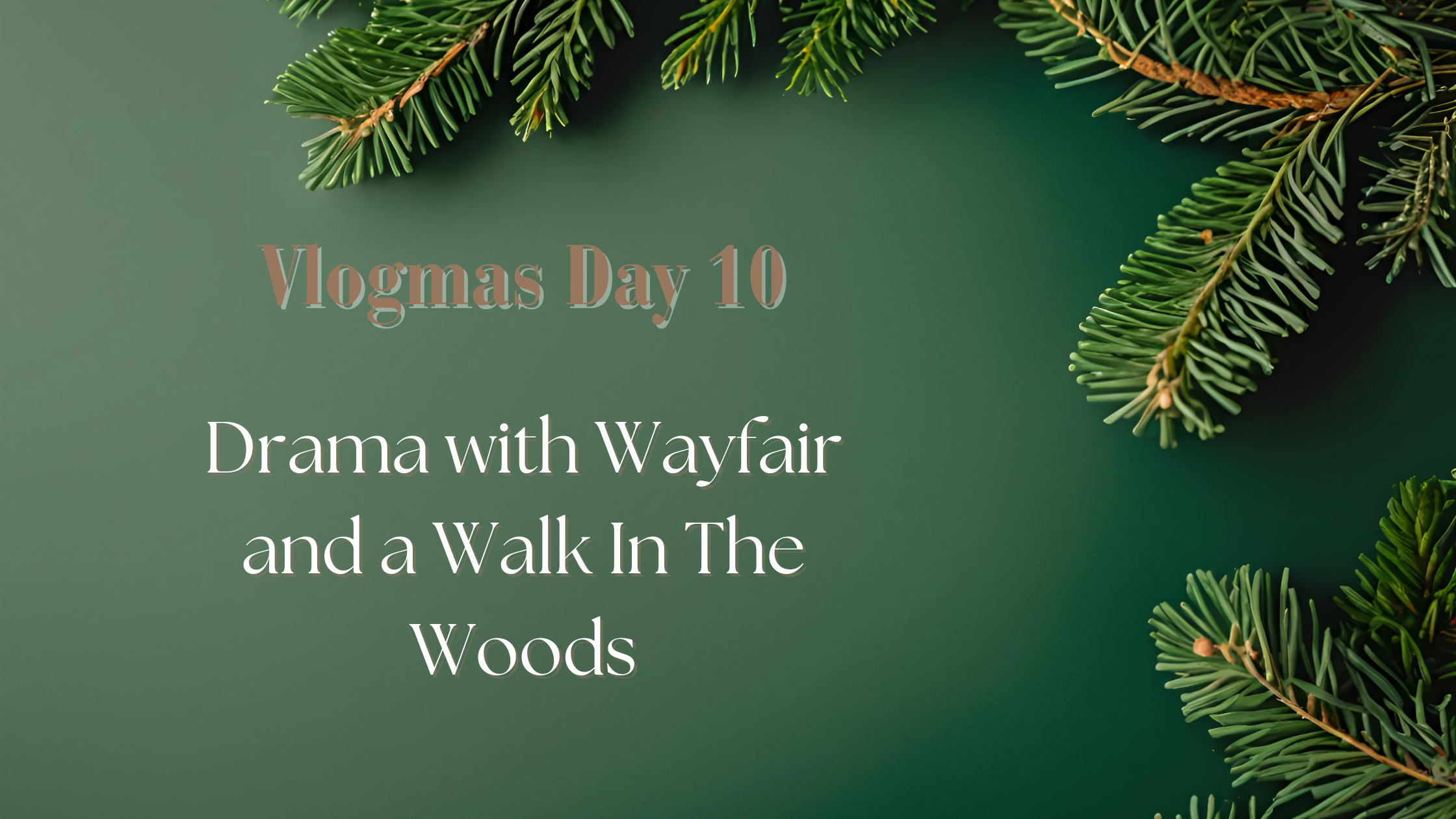 Vlogmas Day 10: Drama with Wayfair and a Walk In The Woods